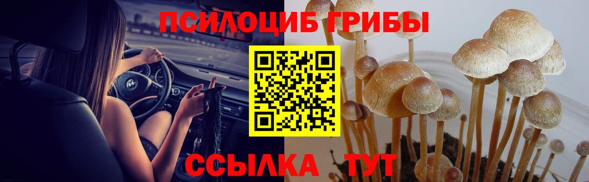 Псилоцибиновые грибы Psilocybe  Вход с VPN  купить закладку  Карабулак 